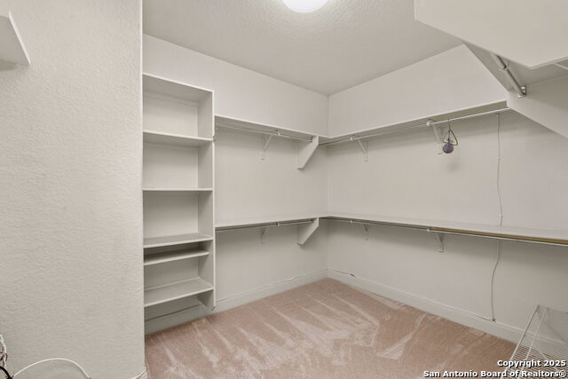 9506 Basket Elm Property Photo 29
