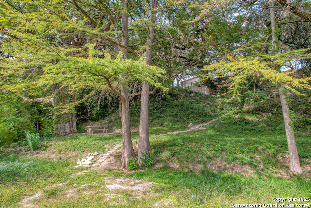 235 Madrone Property Photo 9