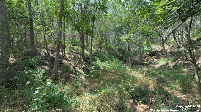 Lot 649 Kaukonahua Ln Property Photo 3