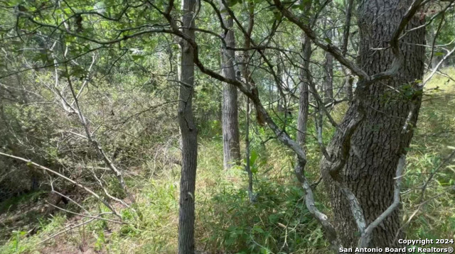 Lot 649 Kaukonahua Ln Property Photo 4