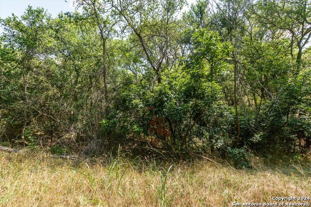 Lot 649 Kaukonahua Ln Property Photo 5