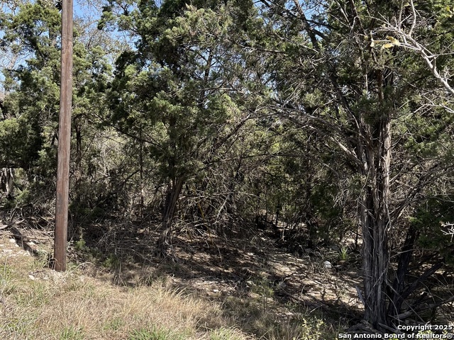 0 State Hwy 46 W Property Photo 6