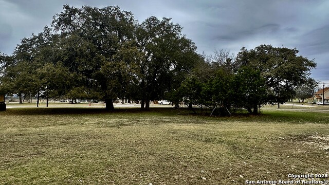000 Tawny Oak Property Photo 2