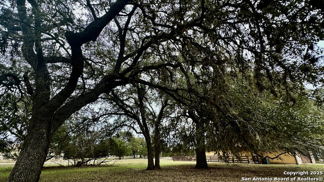 000 Tawny Oak Property Photo 3