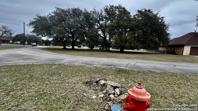 000 Tawny Oak Property Photo 4