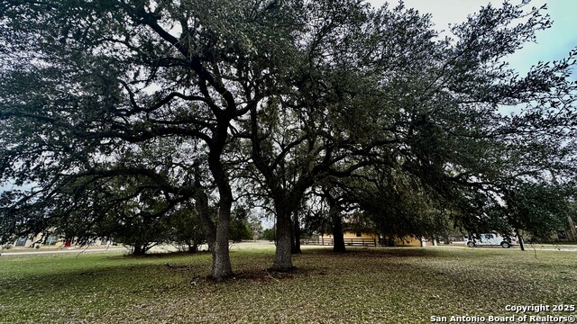 000 Tawny Oak Property Photo 5