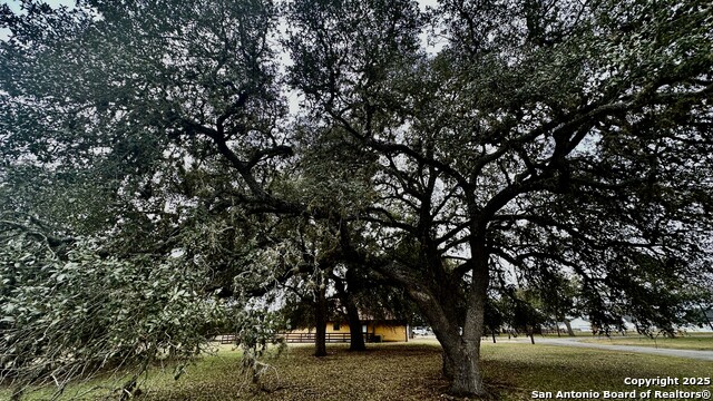 000 Tawny Oak Property Photo 6