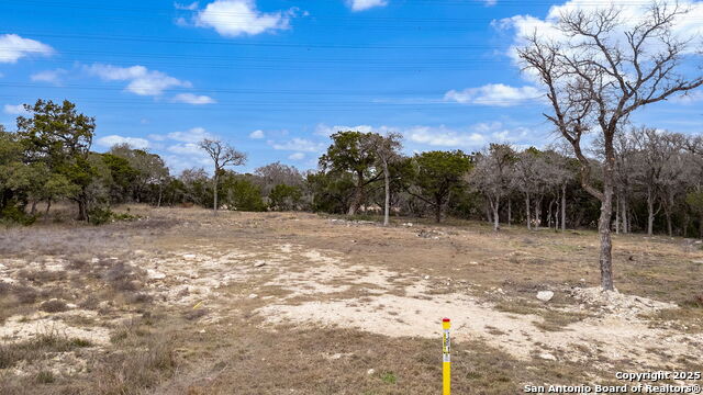 688 Travis Forest Property Photo 16