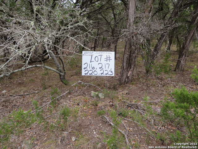 Lot 216,217,& West Slop Trail Property Photo 2