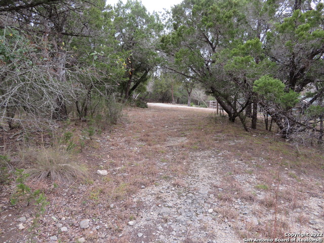 Lot 216,217,& West Slop Trail Property Photo 3
