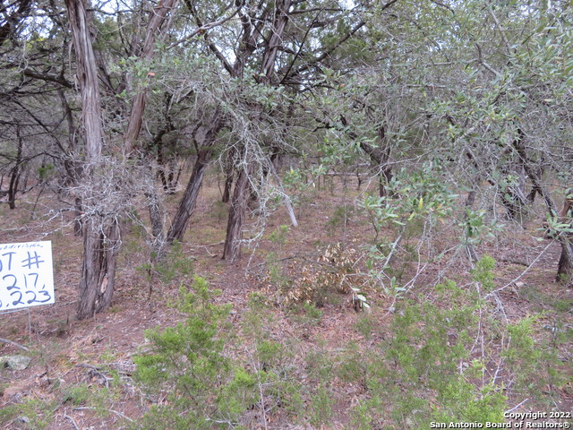 Lot 216,217,& West Slop Trail Property Photo 4