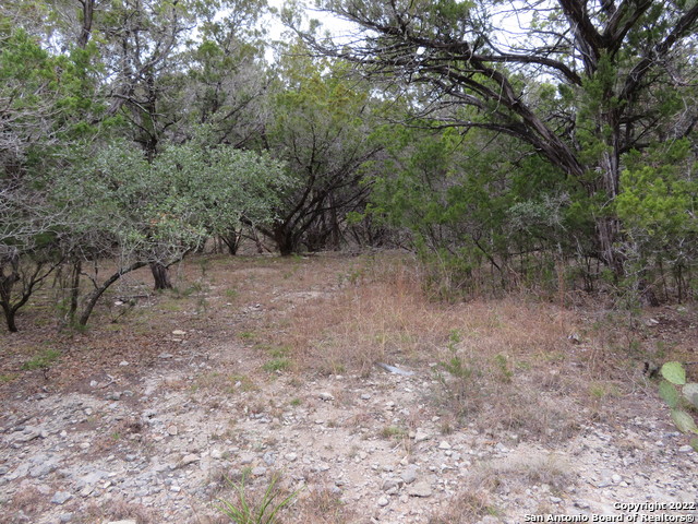 Lot 216,217,& West Slop Trail Property Photo 5