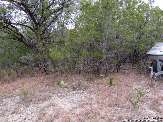 Lot 216,217,& West Slop Trail Property Photo 6