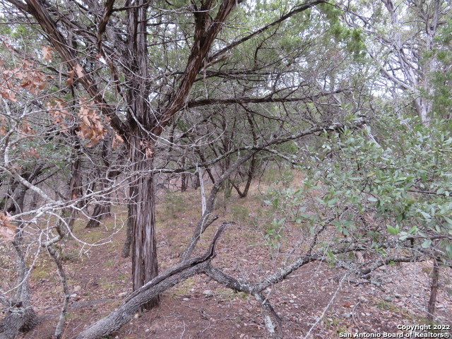 Lot 216,217,& West Slop Trail Property Photo 7