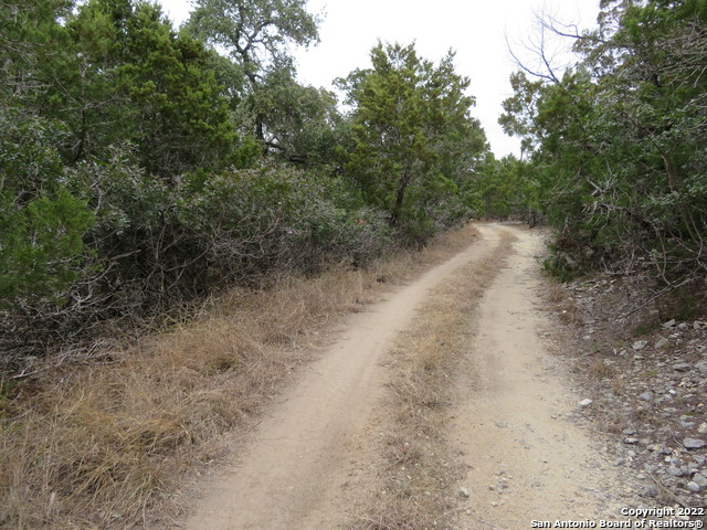 LOT 238-241 HILLTOP LOOP Property Photo 1