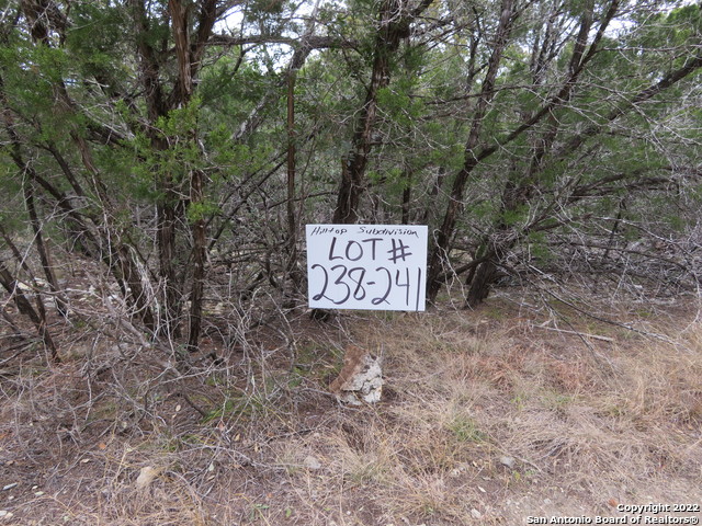 Lot 238-241 Hilltop Loop Property Photo 2