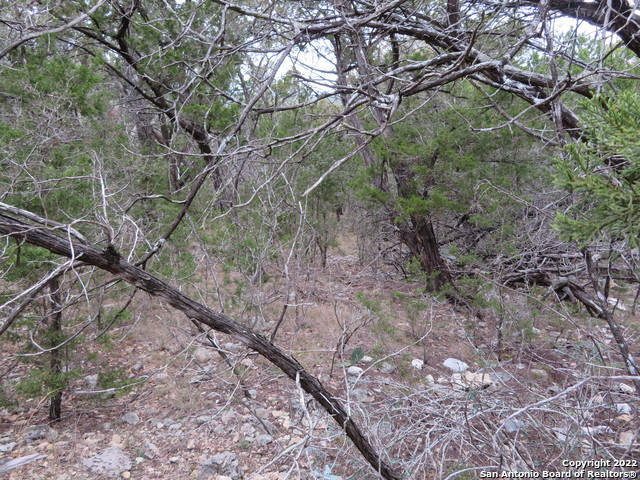 Lot 238-241 Hilltop Loop Property Photo 3