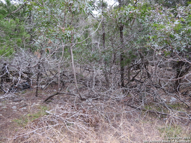 Lot 238-241 Hilltop Loop Property Photo 4