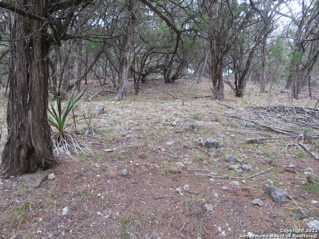 Lot 37-39 & Canyon Trail Property Photo 8