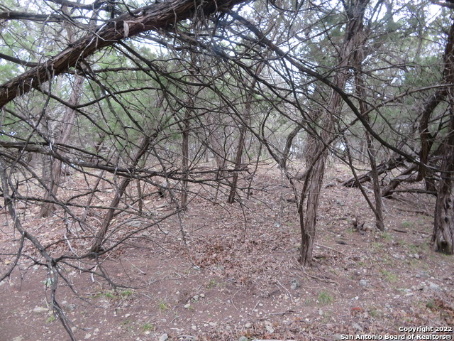 Lot 37-39 & Canyon Trail Property Photo 10