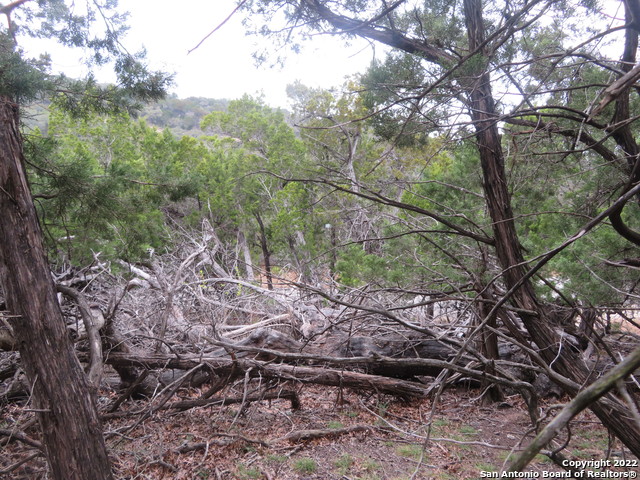 Lot 37-39 & Canyon Trail Property Photo 11