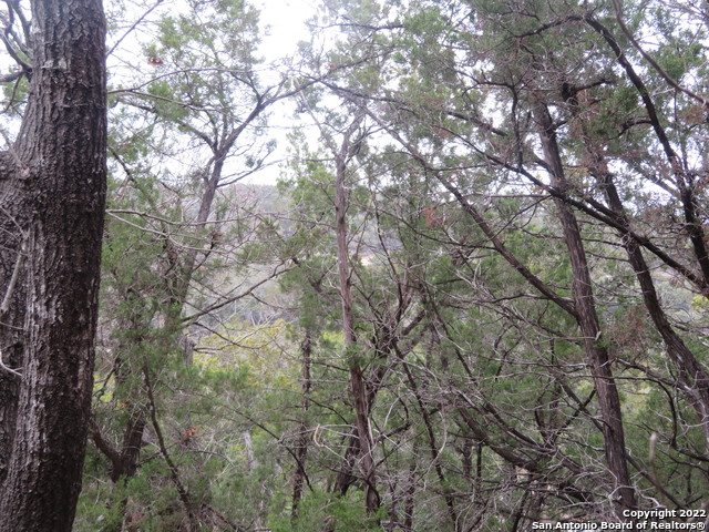 Lot 37-39 & Canyon Trail Property Photo 12