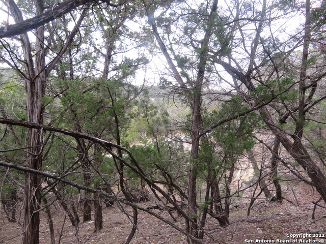 Lot 37-39 & Canyon Trail Property Photo 13