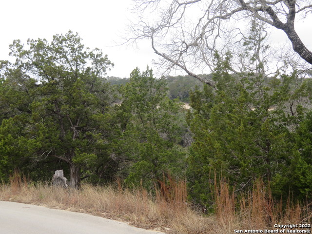 Lot 37-39 & Canyon Trail Property Photo 21