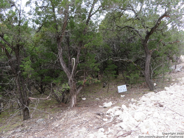 Lot 304-306 Deer Trail Property Photo 2