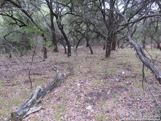 Lot 304-306 Deer Trail Property Photo 4
