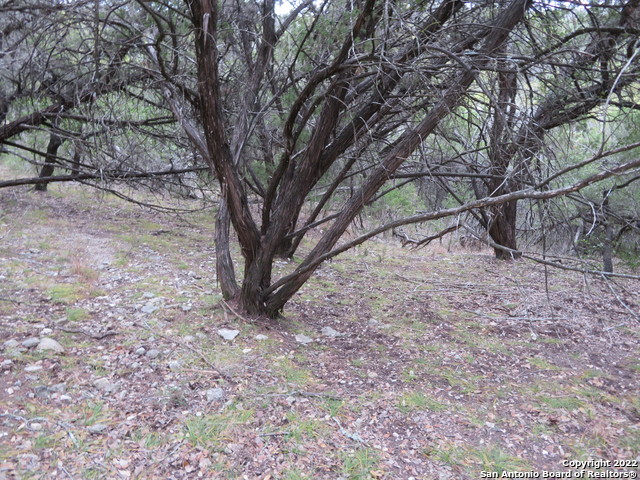 Lot 304-306 Deer Trail Property Photo 5
