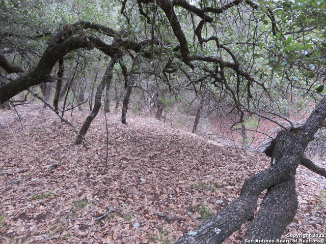 Lot 304-306 Deer Trail Property Photo 7