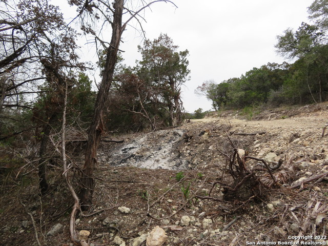 Lot 304-306 Deer Trail Property Photo 9