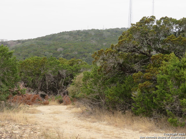 Lot 180-184 Hilltop Loop Property Photo 4