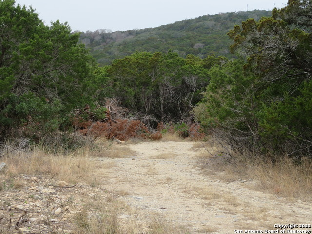 Lot 180-184 Hilltop Loop Property Photo 6