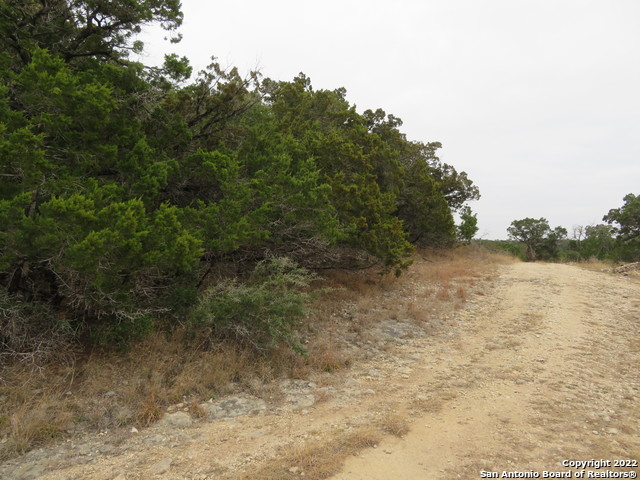 Lot 180-184 Hilltop Loop Property Photo 9