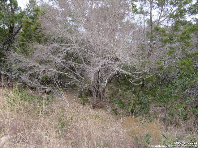 Lot 173-176 & Hilltop Loop Property Photo 3