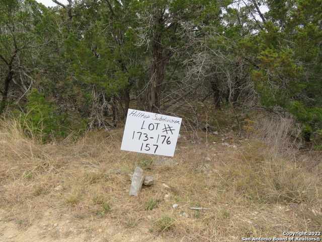 Lot 173-176 & Hilltop Loop Property Photo 4