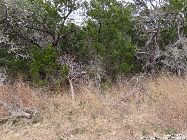 Lot 158-160 & Hilltop Circle Property Photo 4