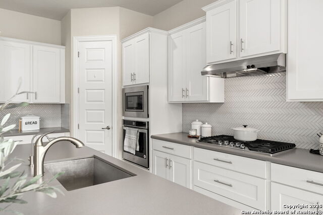229 Branson Falls Property Photo 14