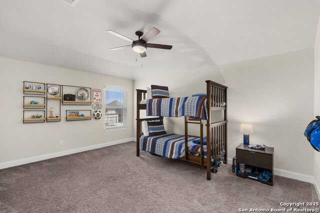 229 Branson Falls Property Photo 29