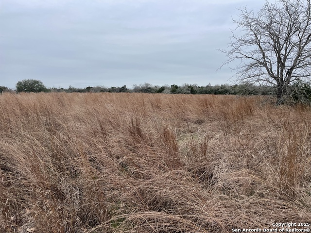 00 Mule Creek Rd Property Photo