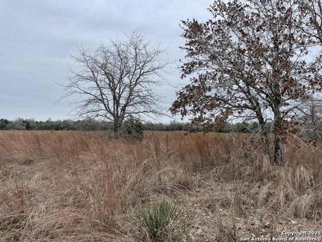 00 Mule Creek Rd Property Photo 2