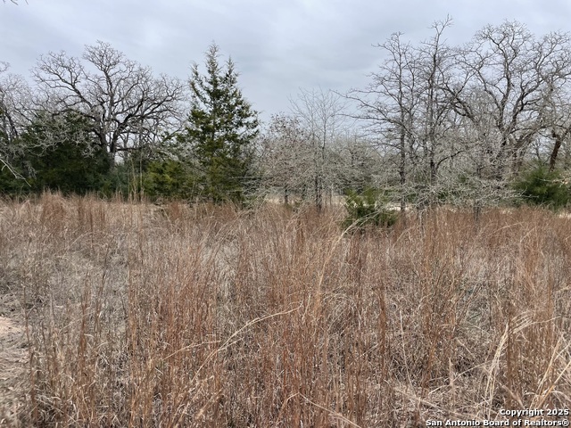 00 Mule Creek Rd Property Photo 3