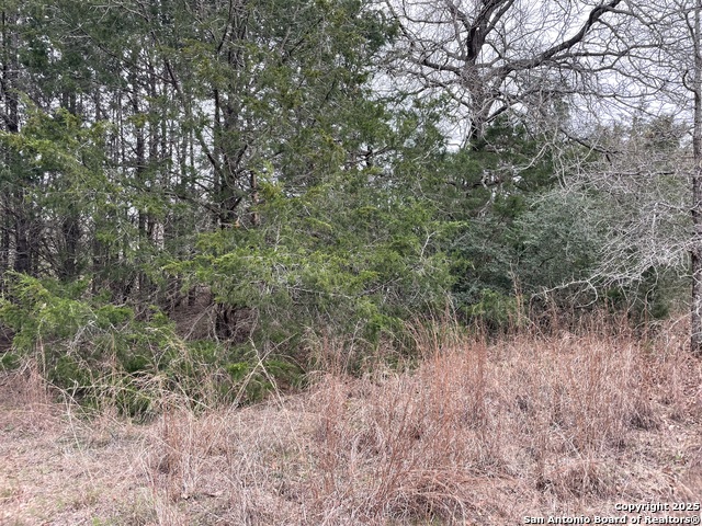 00 Mule Creek Rd Property Photo 4