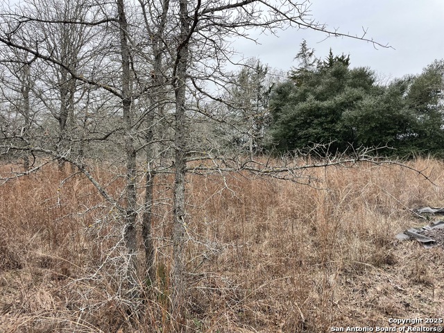 00 Mule Creek Rd Property Photo 5