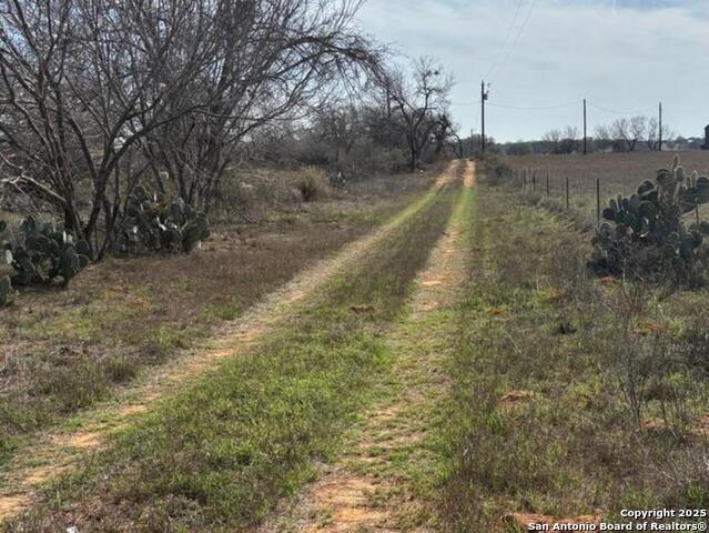 946 County Road 2863 Property Photo 7