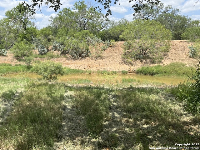 946 County Road 2863 Property Photo 8