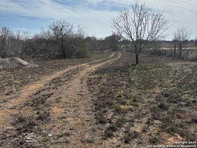 946 County Road 2863 Property Photo 10