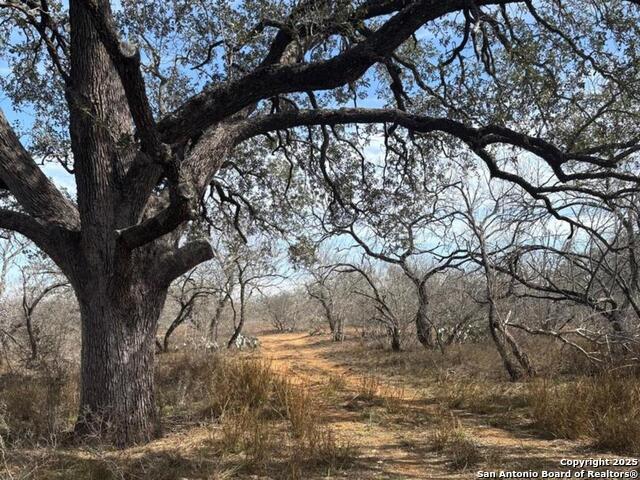 946 County Road 2863 Property Photo 12